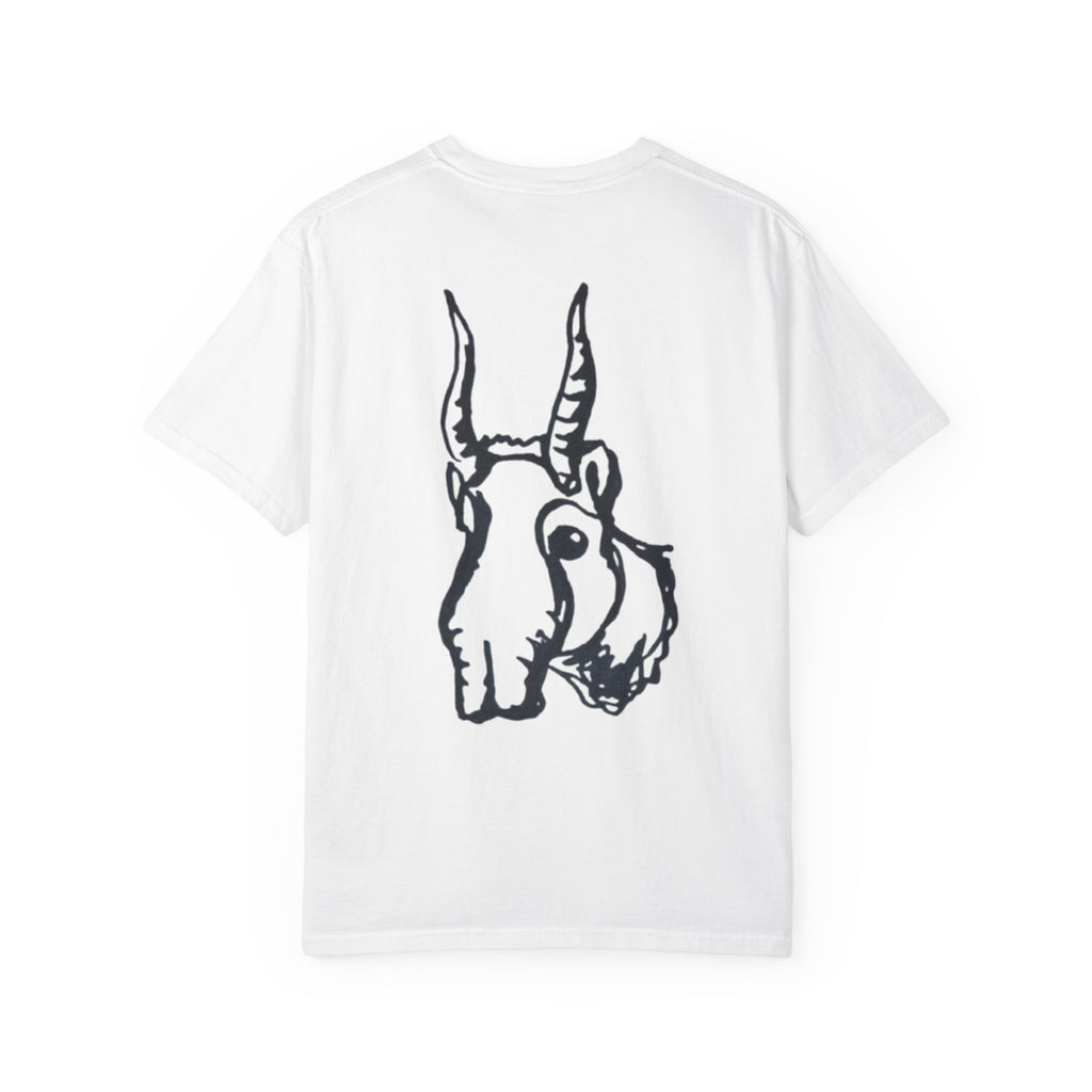 Сайгак (Saiga Antelope)