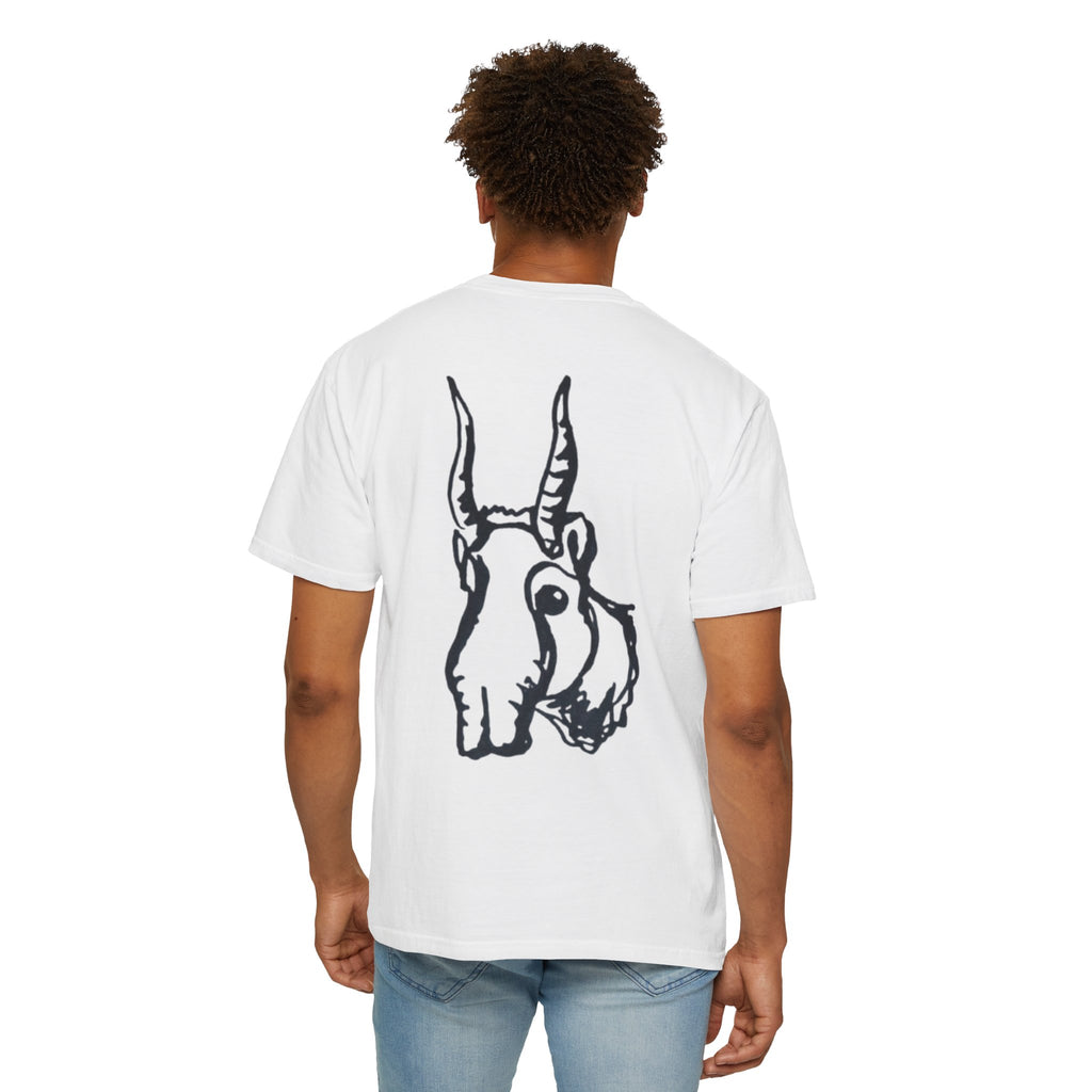 Сайгак (Saiga Antelope)
