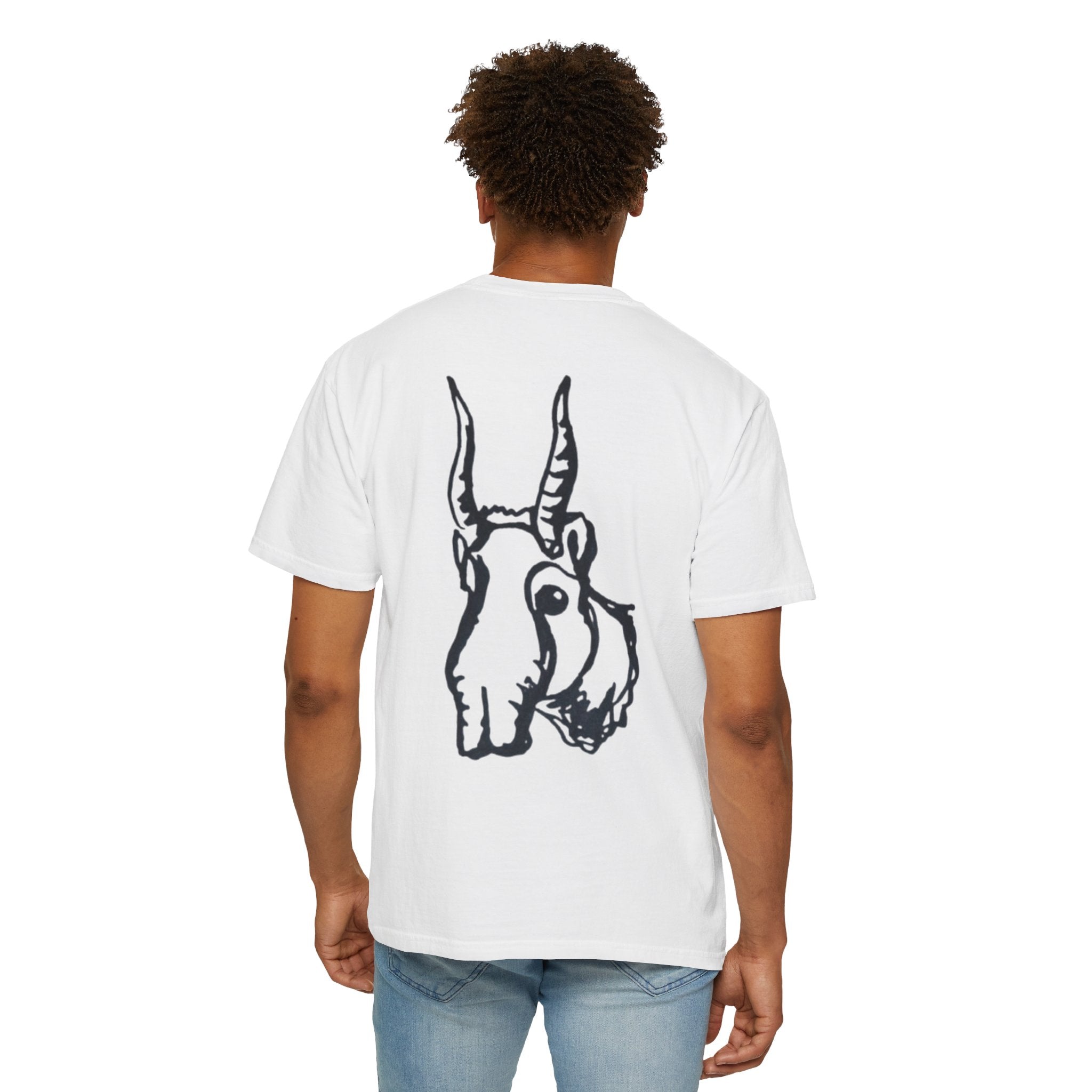 Сайгак (Saiga Antelope)